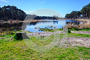 Scenic view of a pond in a green landscape in Wortel, Hoogstraten, Belgium photo