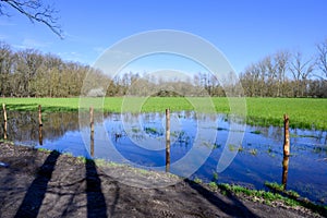 Scenic view of a pond in a green landscape in Wortel, Hoogstraten, Belgium photo