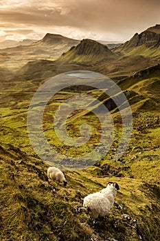 Scenic view of Quiraing mountains in Isle of Skye, Scottish highlands, United Kingdom. Sunrise time with colourful an rayini