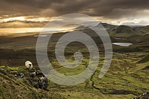 Scenic view of Quiraing mountains in Isle of Skye, Scottish highlands, United Kingdom. Sunrise time with colourful an rayini