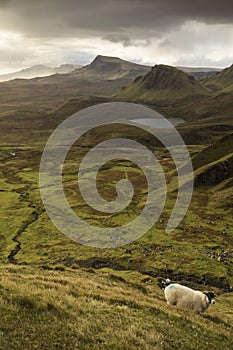 Scenic view of Quiraing mountains in Isle of Skye, Scottish highlands, United Kingdom. Sunrise time with colourful an rayini