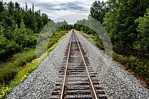 Scenic view of a railroad in a forest of green fir trees in Alaska