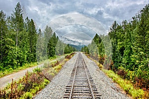 Scenic view of a railroad in a forest of green fir trees in Alaska