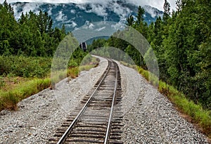 Scenic view of a railroad in a forest of green fir trees in Alaska