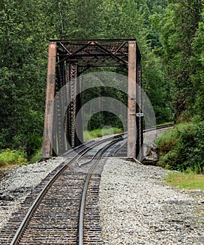 Scenic view of a railroad in a forest of green fir trees in Alaska