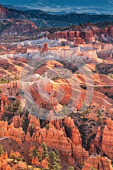 Scenic view of red sandstone hoodoos in Bryce Canyon National Pa