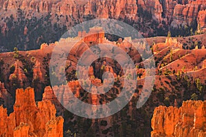 Scenic view of red sandstone hoodoos in Bryce Canyon National Pa