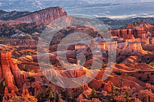 Scenic view of red sandstone hoodoos in Bryce Canyon National Pa