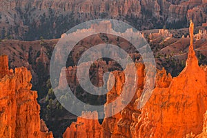 Scenic view of red sandstone hoodoos in Bryce Canyon National Park in Utah, USA