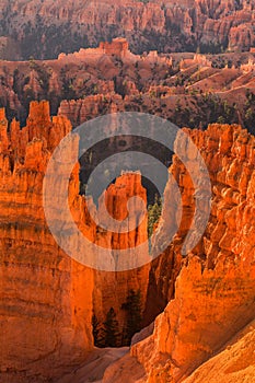 Scenic view of red sandstone hoodoos in Bryce Canyon National Park in Utah, USA