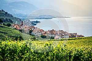 Scenic view of Rivaz village in middle of Lavaux terraced vineyards over Geneva lake in Lavaux Switzerland