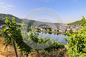 Scenic view at river Moselle valley