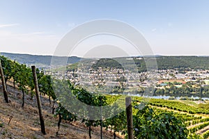 Scenic view at river Moselle valley