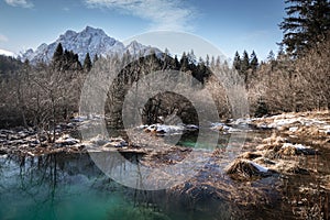 Scenic view on river source lake zelenci, slovenia