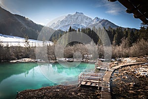 Scenic view on river source lake zelenci, slovenia