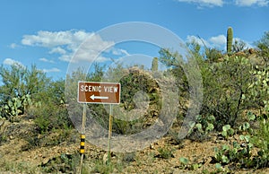Scenic view road sign in desert