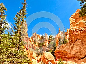 Scenic view of rock formations in Bryce Canyon National Park in Utah in daylight