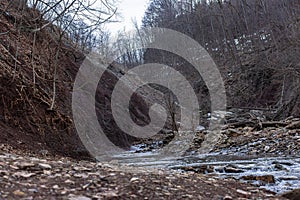 Scenic view of a rocky shoreline with a river and trees in the foreground