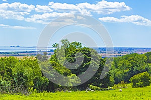 Scenic view of Romney Marsh plain and coastline Kent England UK