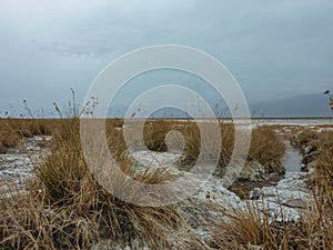 Scenic view of rough surface of rock salt blocks at Devil\'s Golf Course, Death Valley National Park, California, USA