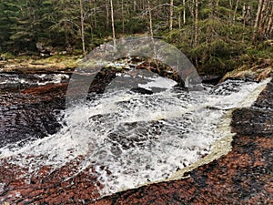 Scenic view of rushing water from a river in the forest in Siljan, Norway