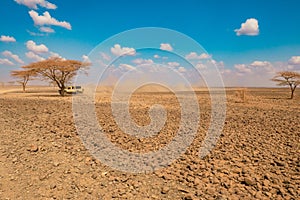 Scenic view of safari jeep at Chalbi Desert, Marsabit, Kenya