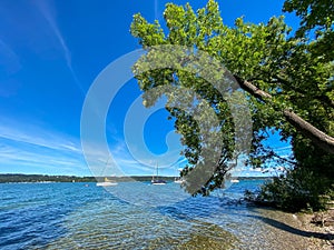 Scenic view of sailboats cruising in a lake on a sunny day