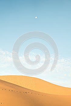 Scenic view of sand dunes with footprints in the Sahara desert, Marocco