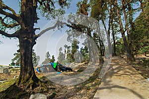 Scenic view of Sari village at Tungnath trek route. Tungnath temple, highest of the five Panch Kedar temples located in the photo