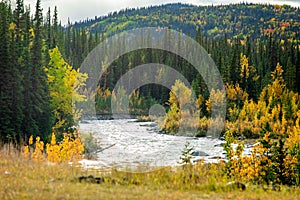 Scenic view of Savage river in Denali national park at fall