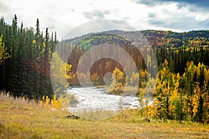 Scenic view of Savage river in Denali national park at fall