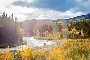 Scenic view of Savage river in Denali national park at fall