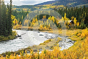 Scenic view of Savage river in Denali national park at fall