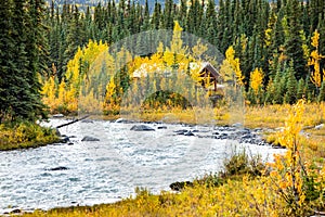 Scenic view of Savage river in Denali national park at fall