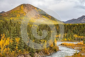 Scenic view of Savage river in Denali national park at fall