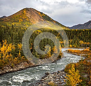 Scenic view of Savage river in Denali national park at fall