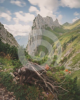 Scenic view of Saxer Lucke Mountain Pass In Switzerland's Alpstein Mountain Massif photo