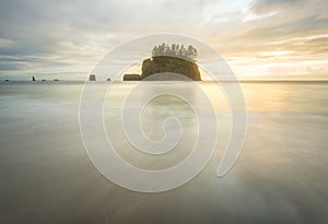Scenic view of sea stack in Second beach when sunset,in mt Olympic National park,Washington,usa.