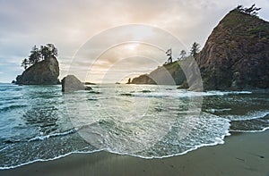 Scenic view of sea stack in Second beach when sunset,in mt Olympic National park,Washington,usa.