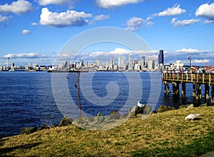 Scenic View of Seattle Skyline from Alki