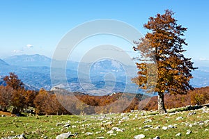 Scenic view from Serra Di Crispo in autumn, Pollino National Park, southern Apennine Mountains, southern Italy