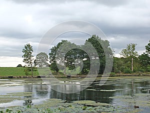 Scenic view of the shore of a calm lake with grey cloudy sky and the trees and grass covered hills along the bank reflected in the