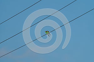 Scenic view of silhouette of European bee-eater perched on electric wire under blue sky