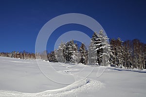 Scenic view of ski slope with a ski trace on non groomed piste.