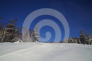 Scenic view of ski slope with a ski trace on non groomed piste.