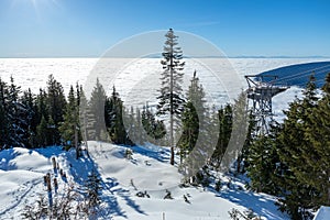 A scenic view of Skyride Gondola at The Peak of Vancouver