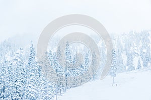 scenic view of small people walking in snow mountain,Washington,USA.