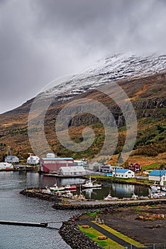 Scenic view of small town Seydisfjordur on Eastside of Iceland