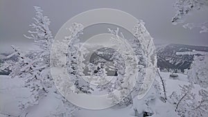 Scenic view of snow covered trees and valley from top of a mountain in Wyoming.