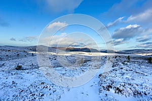 A scenic view of a snowy mountain trail track with small pine trees and mountain range summit in the background under a majestic